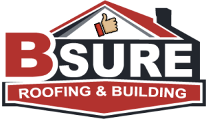 bsure logo thumb 03