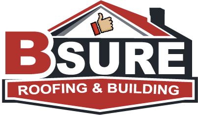 bsure logo thumb 03